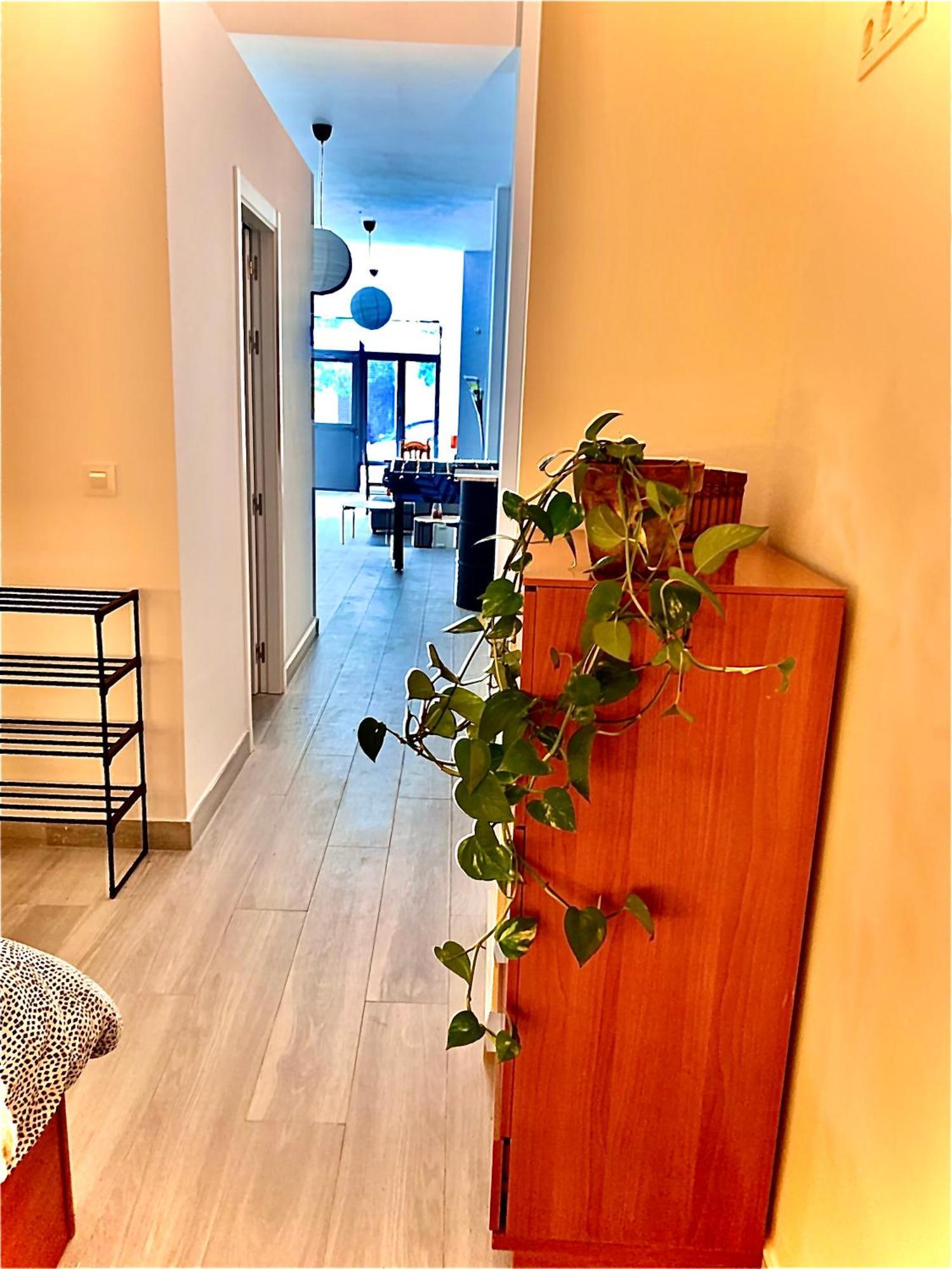Violeta Loft A With Chill Out Terrace Sevilla Eksteriør bilde